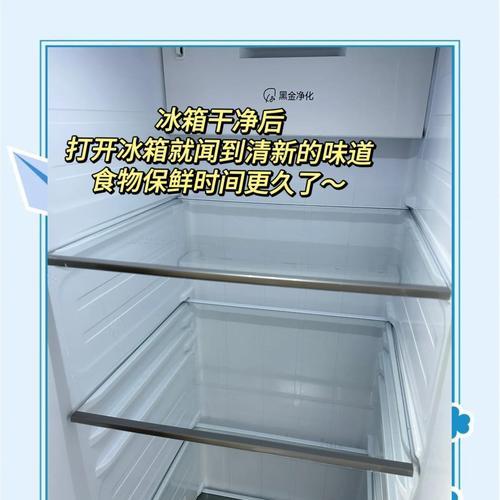 解决冰箱异味的有效方法（去除冰箱异味的实用技巧及注意事项）  第3张