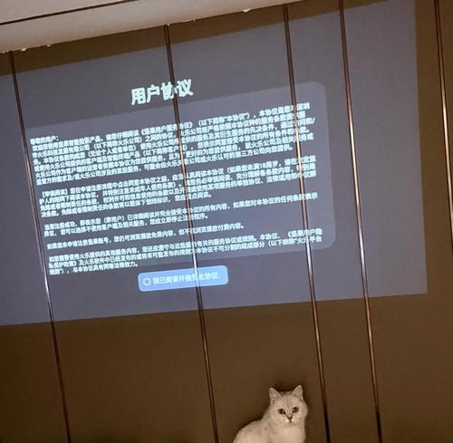 坚果P3投影仪问题解决指南（解决坚果P3投影仪常见问题的实用技巧）  第3张