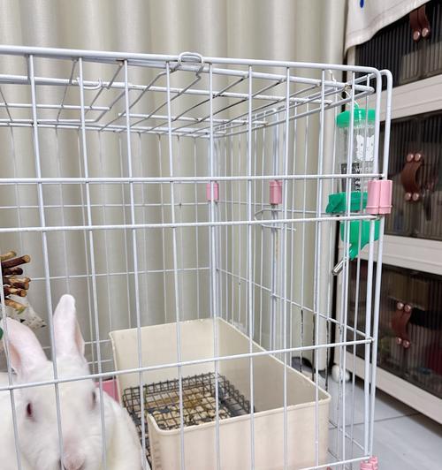 仓鼠饮水机的正确使用与维护（让你的仓鼠健康饮水，呵护它的生活）  第3张