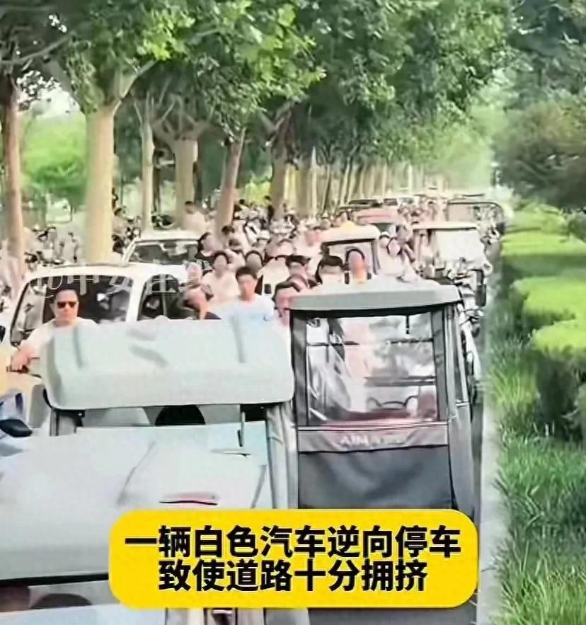 逆停致堵车女司机发长文:一切都不是我有意为之，曾直播解释被封  第1张