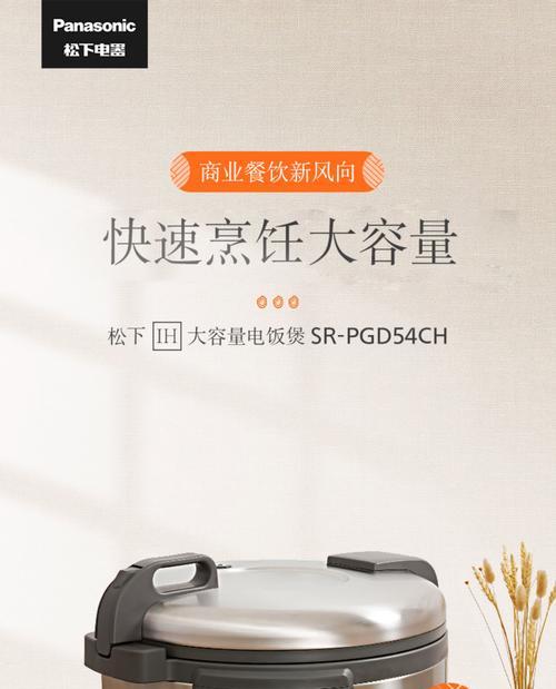 拆解松下电饭煲的方法及注意事项（揭开松下电饭煲的内部奥秘）  第1张