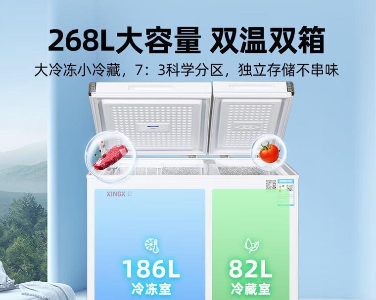 如何选择适合家庭使用的卧式冰箱（选购冰箱时需注意的关键因素及品牌推荐）  第3张