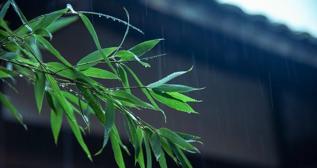 老话说“不怕出伏晴,就怕出伏雨”！下雨还要多久？还要热多久？  第3张