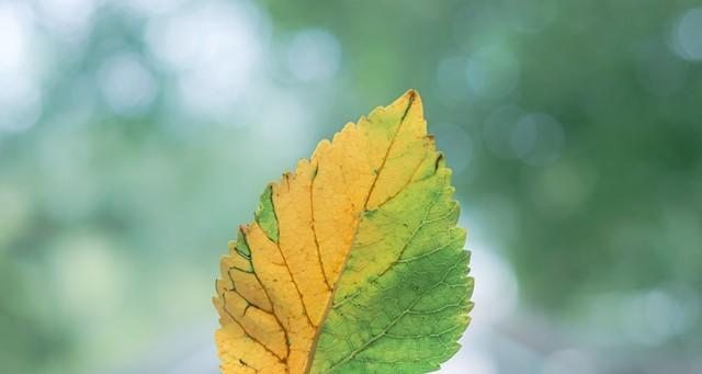 老话说“不怕出伏晴,就怕出伏雨”！下雨还要多久？还要热多久？  第2张