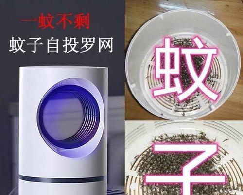 电脑显示器进蚊子了，如何处理（解决办法及预防措施）  第1张