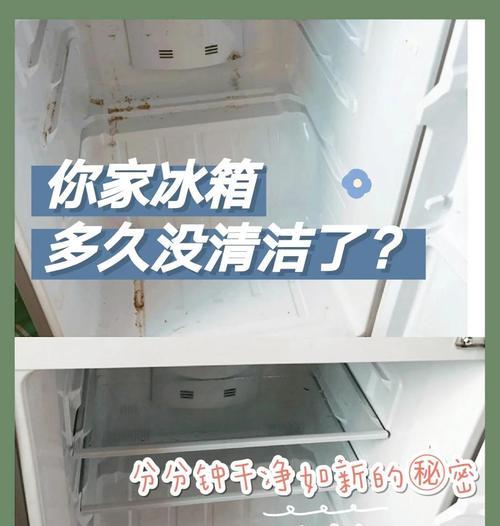 冰箱除臭的原因及方法（有效除臭的关键与实用技巧）  第1张