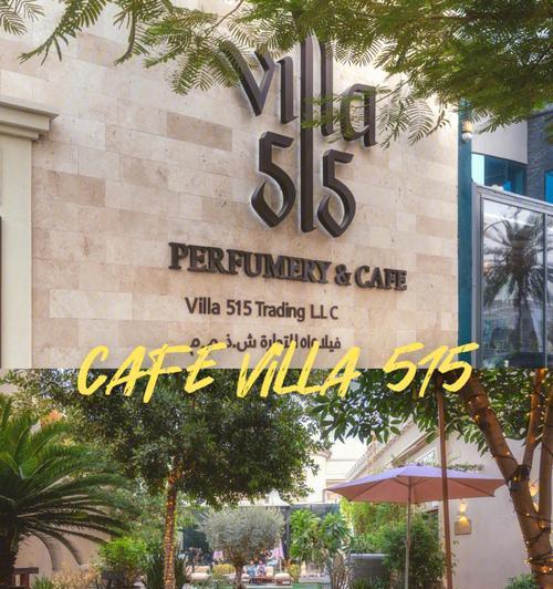 解决Villa咖啡机常见故障的方法（Villa咖啡机故障的解决办法）  第3张