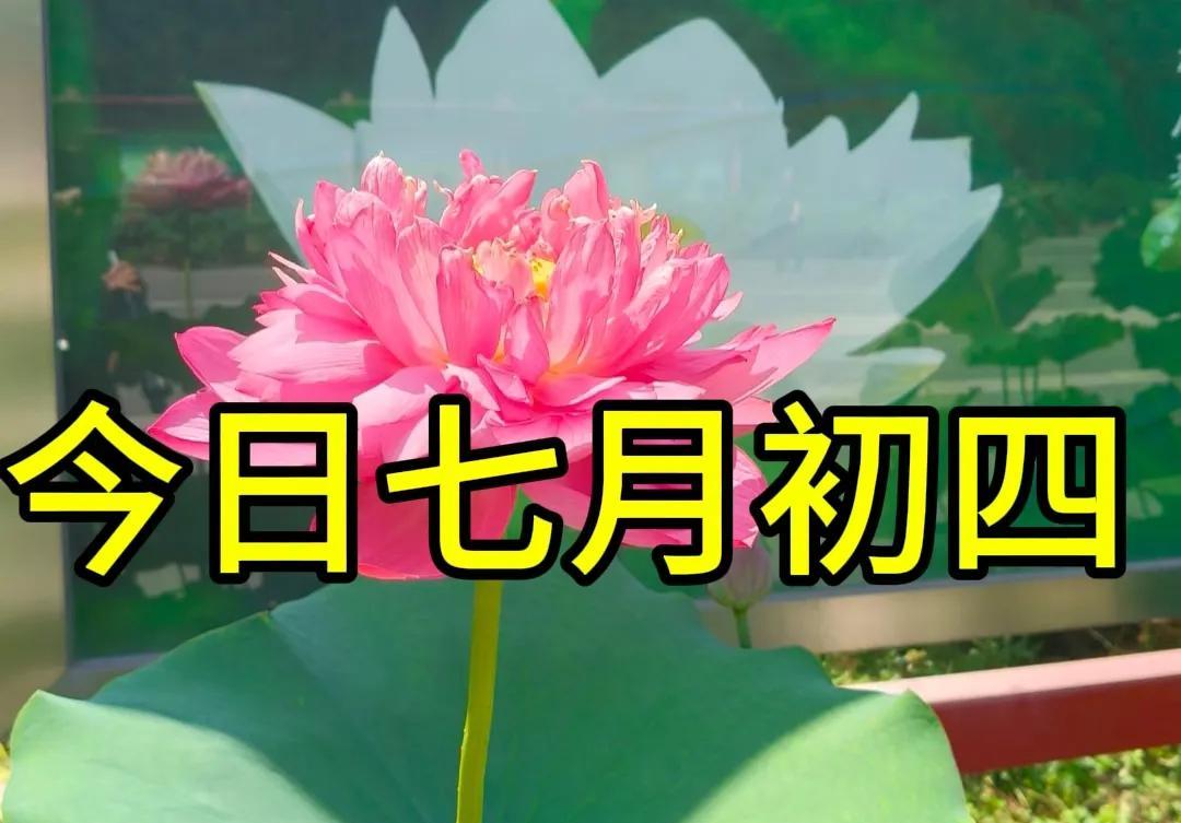 今日七月初四，提醒“5样不上桌，福气不进门”，哪5样？别不懂吃  第2张
