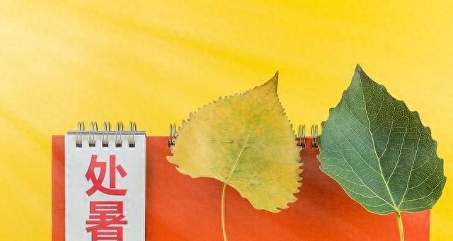 河北！大雨暴雨已在路上！具体分布在以下地区！未来三天天气变化  第1张