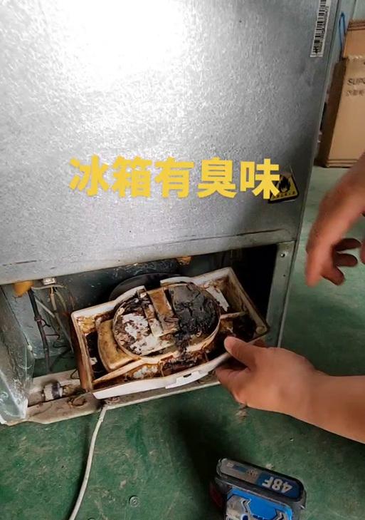 冰箱底部漏水的原因及解决方法（揭秘冰箱底部漏水背后的故障和处理技巧）  第2张