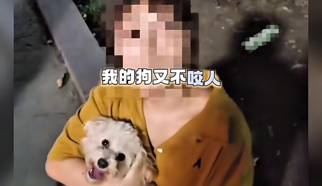 未牵绳小狗扑男子腿被踢开，狗主人不道歉，怒斥:我家狗又不咬人  第2张