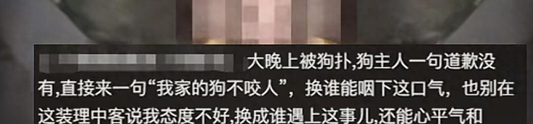 未牵绳小狗扑男子腿被踢开，狗主人不道歉，怒斥:我家狗又不咬人  第1张