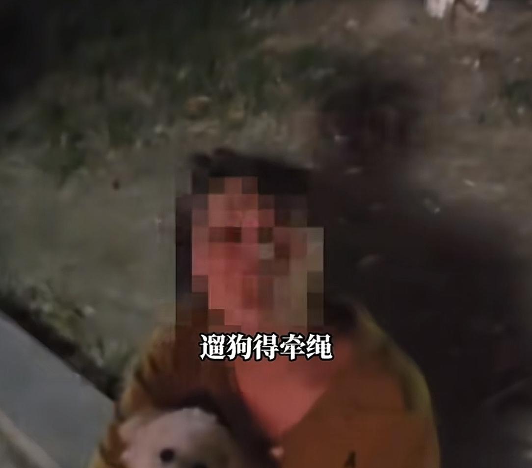 未牵绳小狗扑男子腿被踢开，狗主人不道歉，怒斥:我家狗又不咬人  第3张