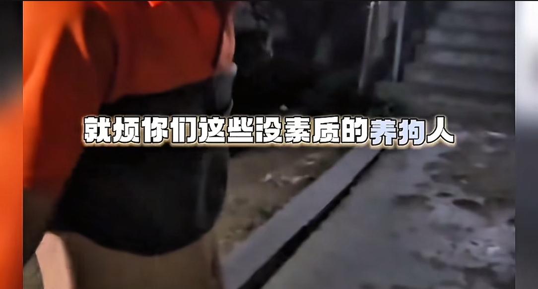 未牵绳小狗扑男子腿被踢开，狗主人不道歉，怒斥:我家狗又不咬人  第5张