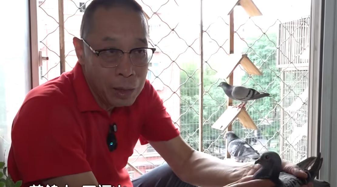 93阅兵后的“小意外”！8万和平鸽有的5分钟到家，有的迷路被偶遇  第4张