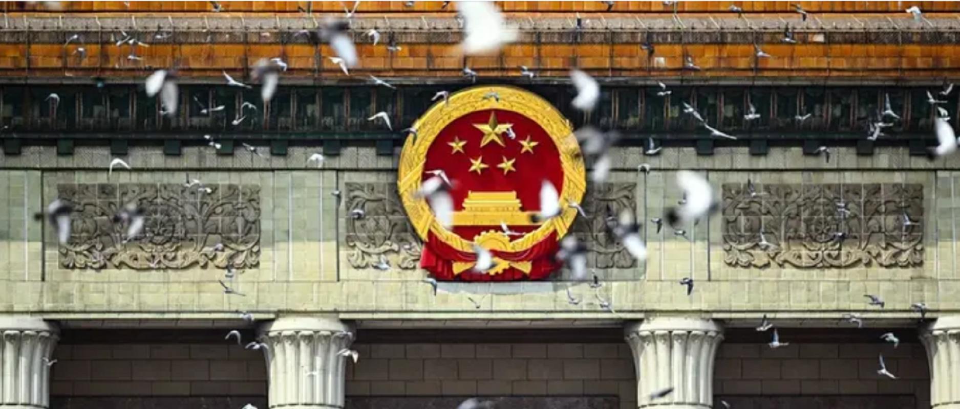 93阅兵后的“小意外”！8万和平鸽有的5分钟到家，有的迷路被偶遇  第5张