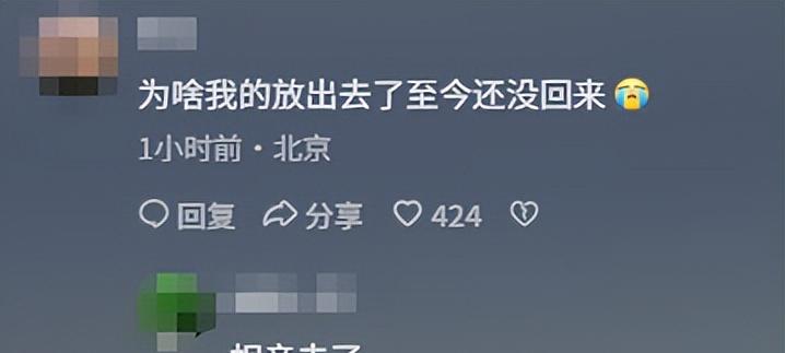 93阅兵后的“小意外”！8万和平鸽有的5分钟到家，有的迷路被偶遇  第14张