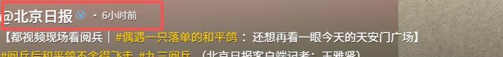 93阅兵后的“小意外”！8万和平鸽有的5分钟到家，有的迷路被偶遇  第17张