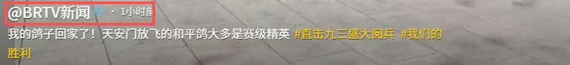 93阅兵后的“小意外”！8万和平鸽有的5分钟到家，有的迷路被偶遇  第16张